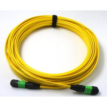 Low Patch Loss 12 Núcleo MPO-MPO Fibra Patchcord